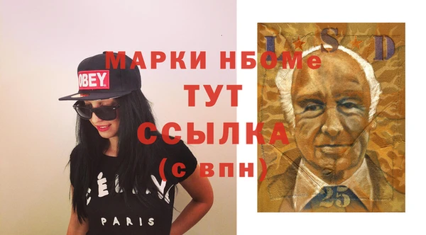шишки Баксан
