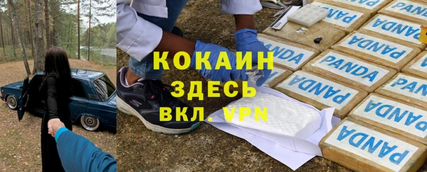 ГАЛЛЮЦИНОГЕННЫЕ ГРИБЫ Балахна