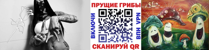 где продают наркотики  Нытва  мориарти состав  Галлюциногенные грибы Psilocybe 